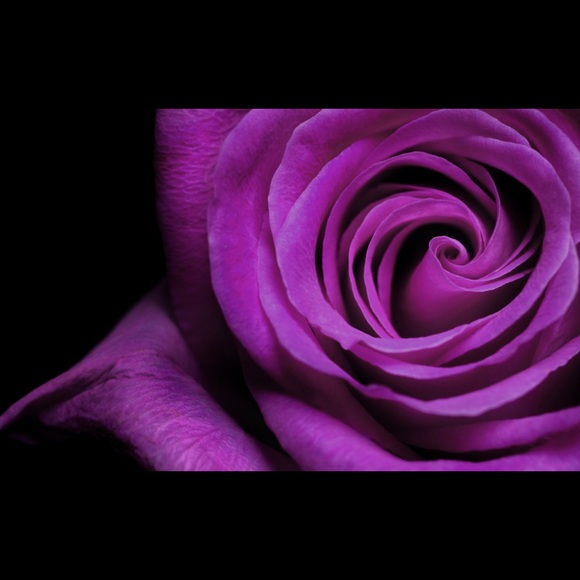 Meet your Posher, Sarah - Picture 1 of 1